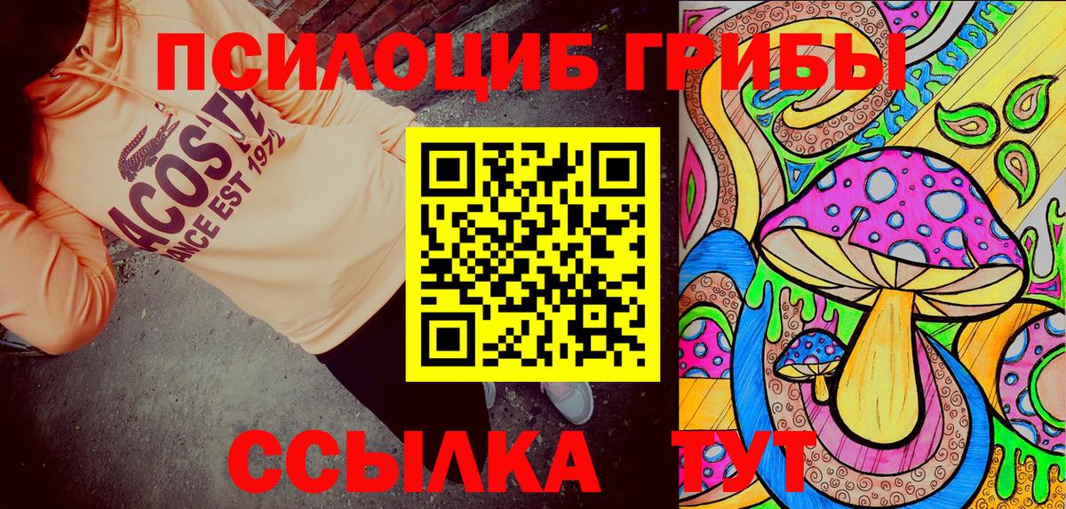 Лабытнанги  Псилоцибиновые грибы Psilocybe  Вход с VPN  Псилоцибиновые грибы прущие грибы 