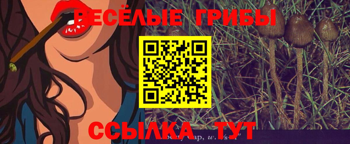 Галлюциногенные грибы Magic Shrooms Лабытнанги